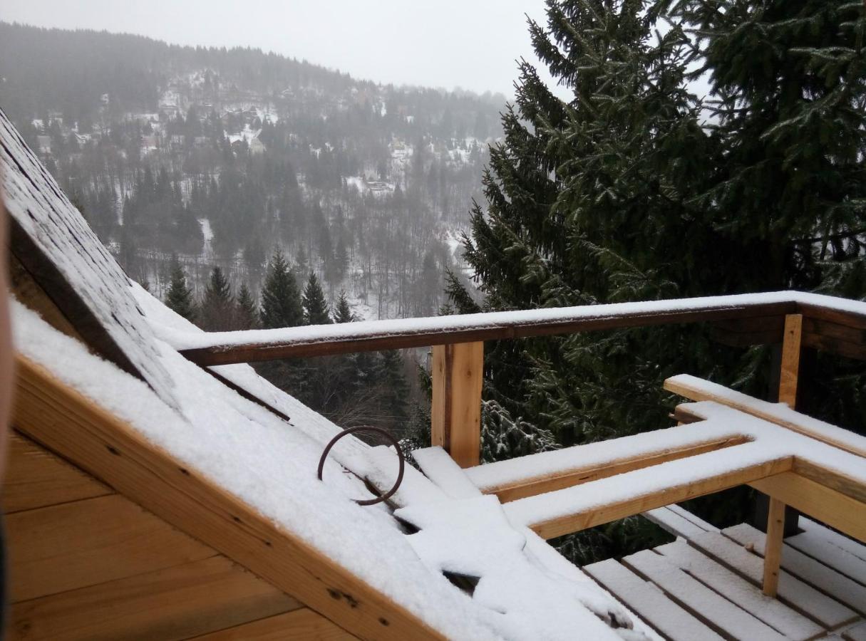 Apartments Dviletov Kutak Kopaonik Exterior foto
